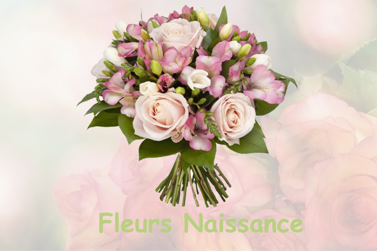 fleurs naissance SAINT-MAURICE-EN-TRIEVES