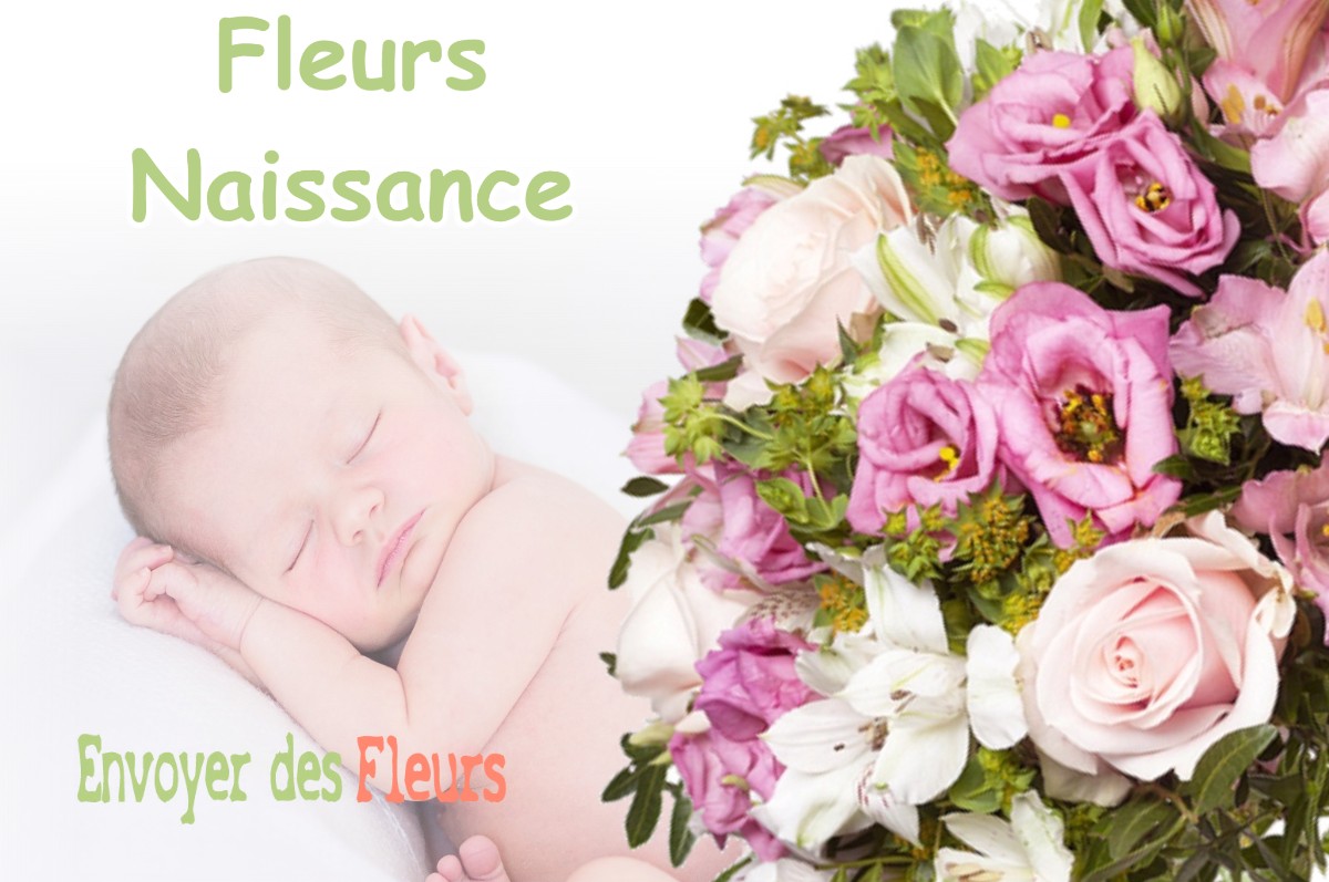 lIVRAISON FLEURS NAISSANCE à SAINT-MAURICE-EN-TRIEVES